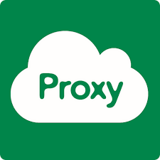 Изображение: Аренда Proxy IPv6 | Socks5 | Потоки без ограничений (1 день)